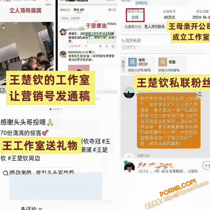 世界乒乓球冠军 王楚钦 ...（4）