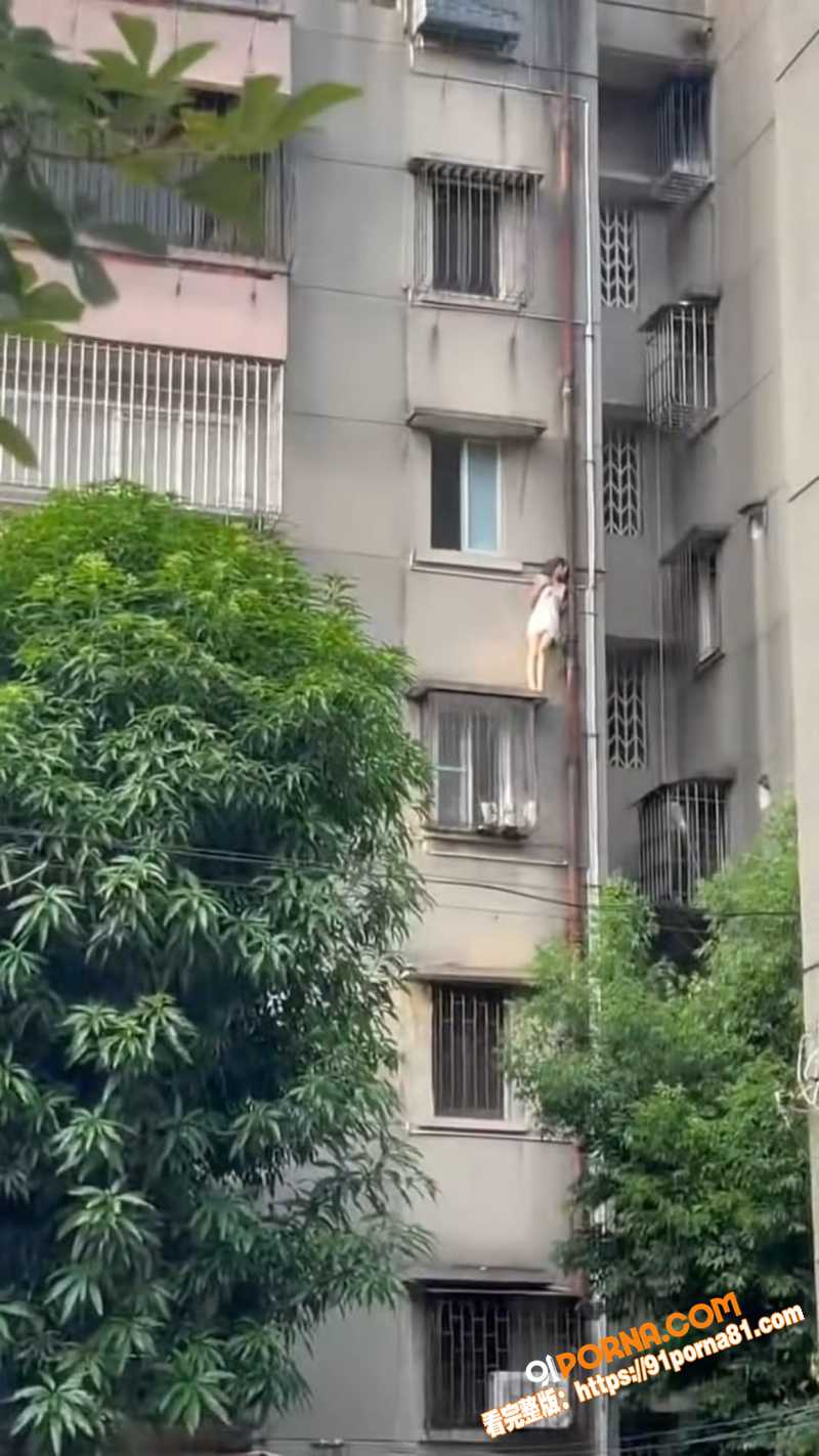 上海复旦教授 王龙 网上...（9）